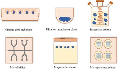 Implications of Three-Dimensional Cell Culture in Cancer Therapeutic Research